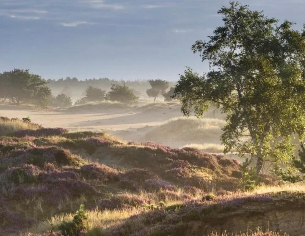 Schaapskooi 20 Lejlighed Dwingeloo Eksteriør billede