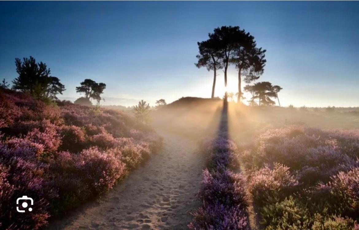 Schaapskooi 20 Lejlighed Dwingeloo Eksteriør billede