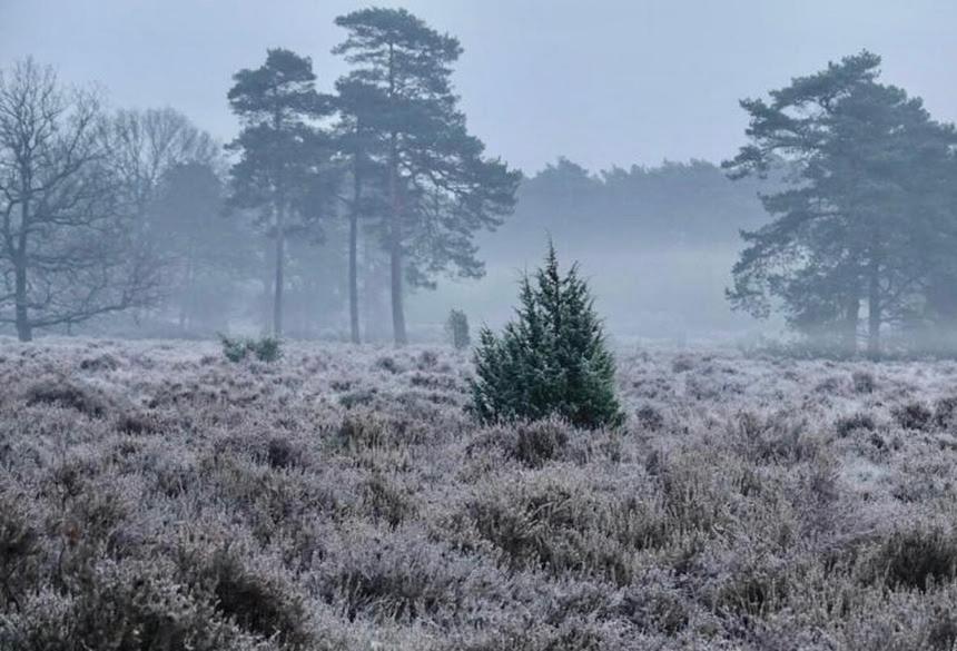 Schaapskooi 20 Lejlighed Dwingeloo Eksteriør billede